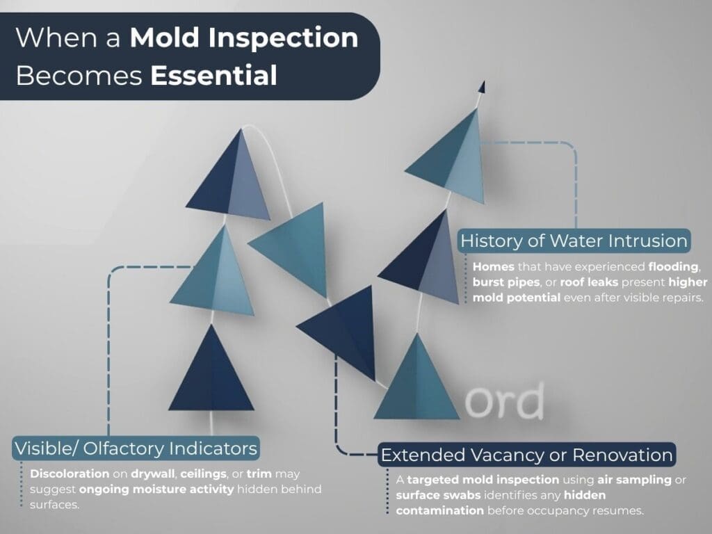 An illustration showing When a Mold Inspection Becomes Essential for the article Should I Get a Mold Inspection When Buying a House in Milwaukee?