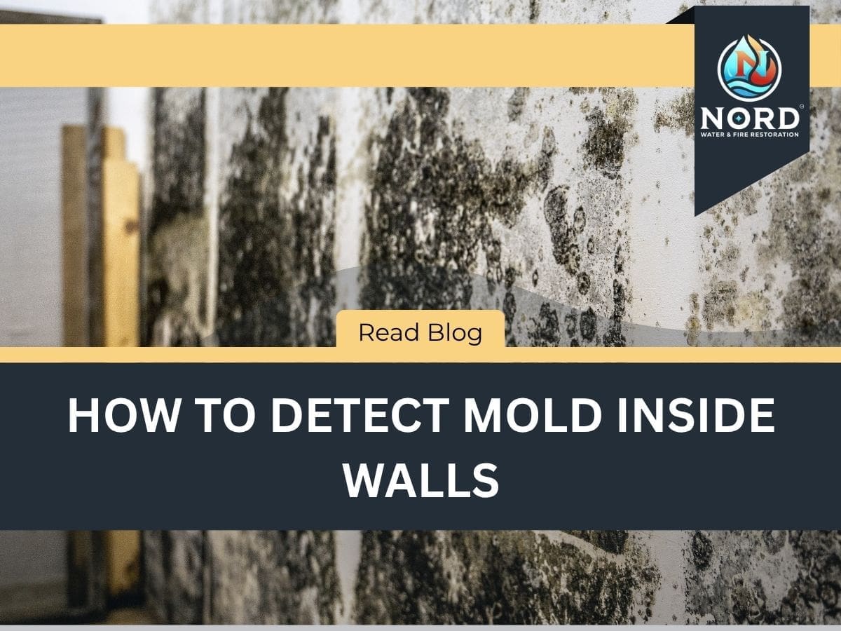 How to Detect Mold Inside Walls